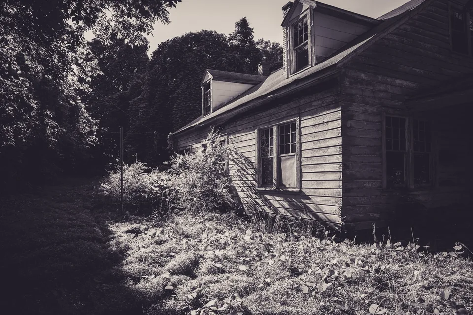 A weathered abandoned wooden house half hidden by overgrown trees