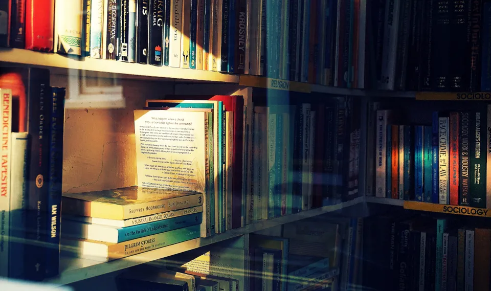 A brightly lit shelf of colorful novels